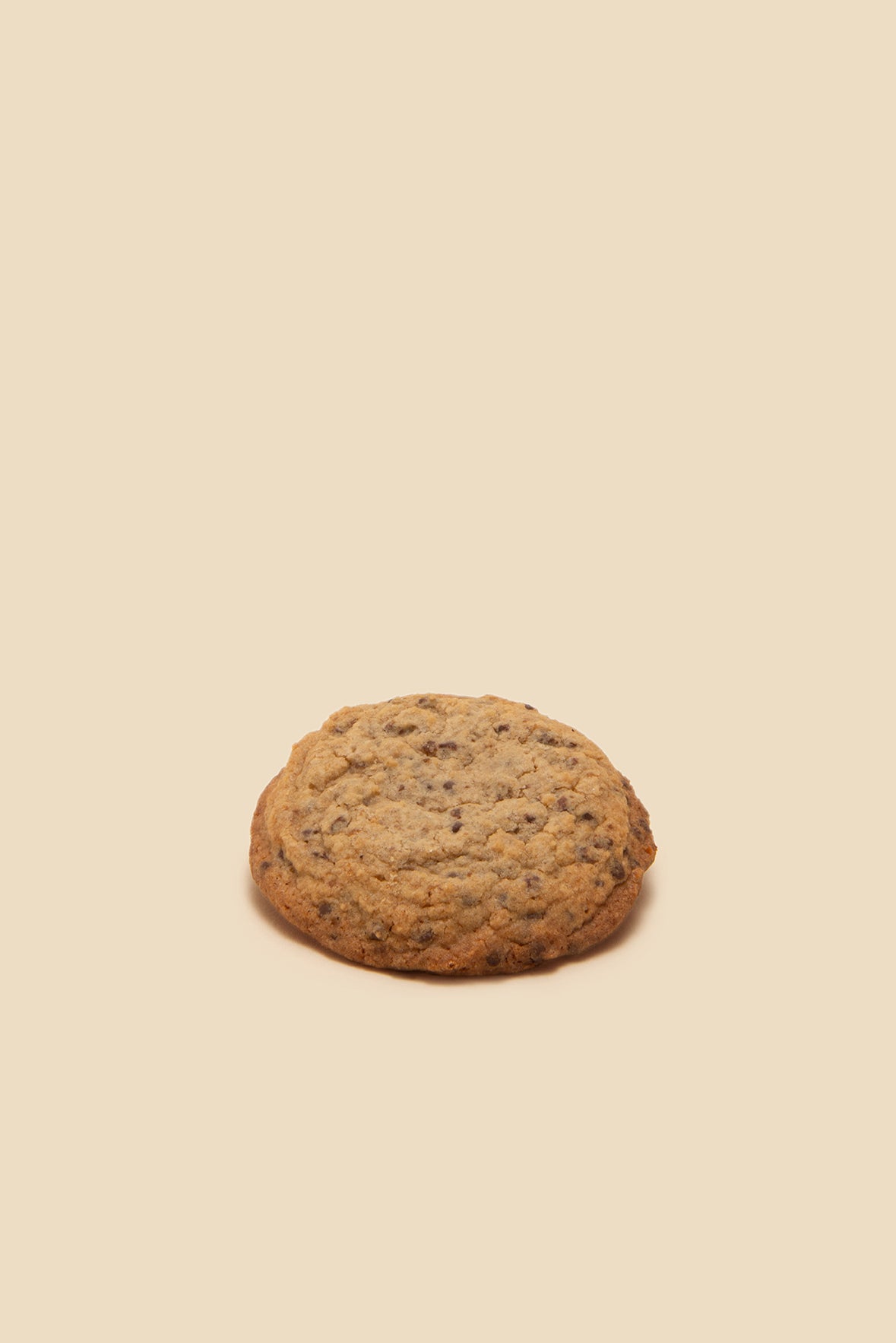 CHOCOLATE CHIP HAZELNUT COOKIE